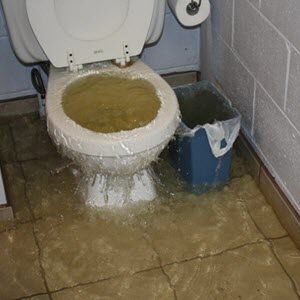 sewage cleanup